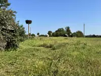 Земельный участок в Узденском районе, Узденский район, Узденский сс, д. Заболотье, ул. Лозовая, д. 16, фотография 10