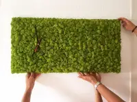Изделия из стабилизированного мха, фотография 5