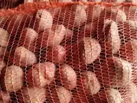 Картофель