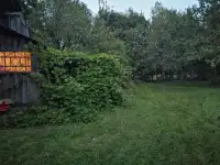 Бревенчатый дом в лесу у ручья деревни Сусловка, фотография 11
