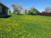 Продам дом д. Хорошевичи, фотография 8