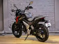 Мотоцикл VMC GS 300, фотография 3