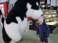 Поздравление в Гомеле и Гомельской области, фотография 7