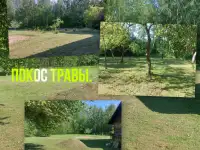 Покос травы триммером быстро,чисто, недорого., фотография 2