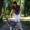 Услуги хендлера в Минске, фотография 2