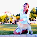 Услуги хендлера в Минске, фотография 10