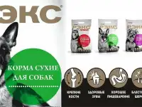 Корм для собак РЭКС, купить в Минске с Доставкой