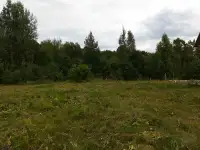 продам участок со срубом, Витебский р-н, Вайханский с/с, д. Мариамполь, ул. Новая 35Г, фотография 10