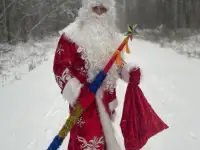 Новогодние настроение с доставкой на дом., фотография 3