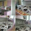 Детские кровати выкатные в Минске с выдвижными шуфлядами, фотография 7