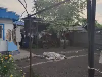 Продаю два дома в одном дворе!, Переулок Гомельский, фотография 4