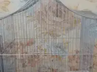 Клетка для декоративных птичек, фотография 2