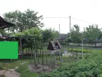 Продается дом в деревне с участком, Малоритский рвйон, д. Пажежин, фотография 2
