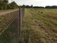 Продам фермерское хозяйство, фундук, фотография 6