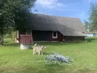 Дом в д.Мельники, фотография 5