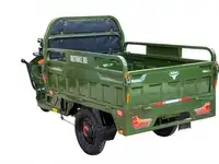 Грузовой электротрицикл rutrike дукат 1500 60v1000w, фотография 10