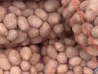 Картофель отборный, фотография 2