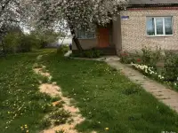 Дом в аг.Крупец, Добрушский район