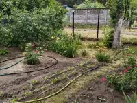 продажа дачи, Ветковский район, Рудня-Споницкая, фотография 7