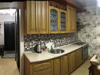 Уютная квартира Заднепровье, могилёв, фотография 4