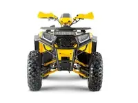 Квадроцикл wels thunder trail 200, фотография 8