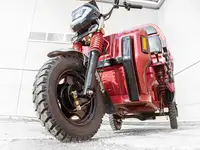 Грузовой электротрицикл rutrike антей pro 1500 60v1200w, фотография 12