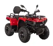 Квадрицикл bizon yk250 lux efi, фотография 2
