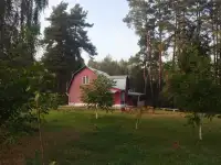 Дом на сутки, часы, недели, фотография 8