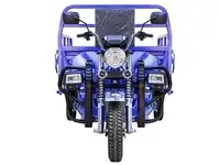 Грузовой электрический трицикл rutrike эксперт про 2000, фотография 3