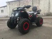 Квадроцикл YACOTA WARRIOR 200cc, фотография 2