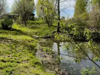 Продаётся дача Демидовичский сельсоветКостюковичский р-нп.Пролетарий, фотография 4