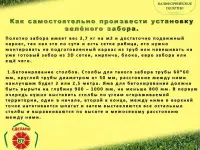 Зеленая изгородь, высотой 0,5 м длина 10 м, фотография 8