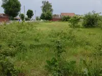 Продажа дома, Д. Хальч. обл. Ветковский р-н., фотография 3