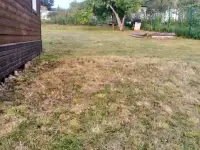 продажа дачи, ст*сигма 2002*, фотография 7