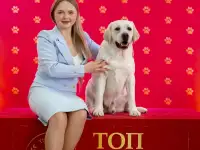 Высокопородные щенки лабрадор, фотография 12