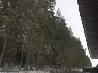 Продается дом 65  готовности с участком 15 соток. На участке свет , вода  скважина  . Рядом лес ,, фотография 3