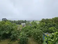 Сдам домик( квартиру) на Вива Браслав, фотография 2