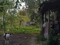 Продажа, фотография 3