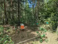 Мед из дикоросов, фотография 3