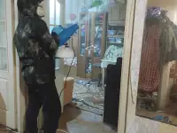 Уничтожение насекомых и грызунов по всей Беларуси (тараканы, клопы, клещи, грызуны), фотография 2
