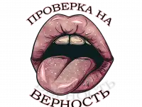 ПРОВЕРКА НА ВЕРНОСТЬ
