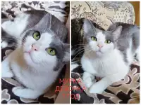 ПОЖАЛУЙСТА, НЕ ПРОХОДИТЕ МИМО!!!, фотография 7