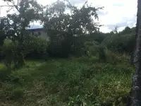 Участок с домом 25 соток, д. Каменка Кленовая 84, фотография 5