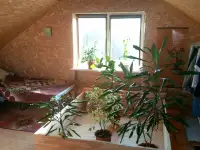 Продам дом в г. Смолевичи, фотография 2