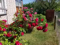 Продам дачу, Острошицко-Городокскийс/с .с/т Узборье 311, фотография 8