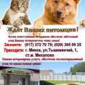 Гостиница для животных