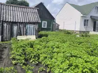 Продам дом, Гомельская область. Ул Интэрнациональная 29, фотография 12