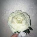 Флористика, фотография 5