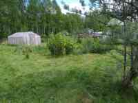 Продам дачу 10 соток, Бецкое, Полоцкий район, СТ Журавинка, фотография 3