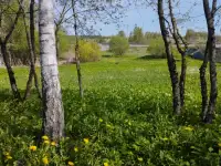 Продаю домучасток, Город Шклов, ул. Родниковая, фотография 3